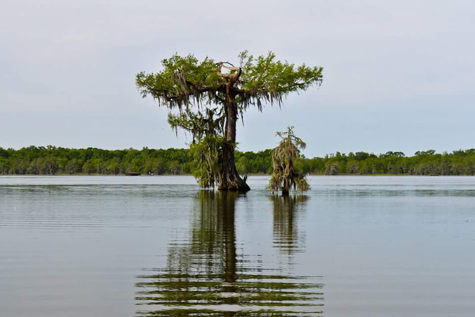 Environmental Permitting in Louisiana