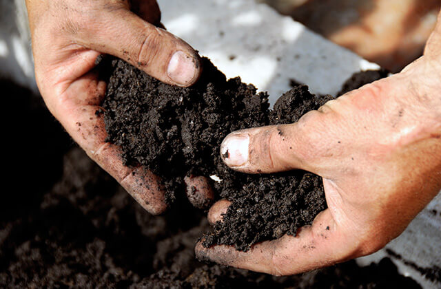 Soil Remediation and Management
