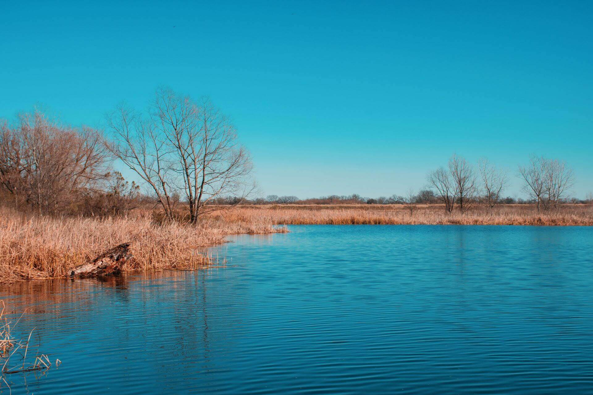 Environmental Consulting in Houston, Texas